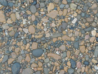 smooth surface of round river pebbles of different shades in random natural mosaic in the structure of a path or walkway, view from above, rocky detailed pattern