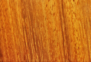 Obraz premium Teak (Kambala) wood texture as background