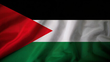 Obraz premium Flag of the Palestine