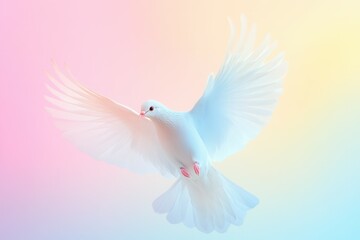 Obraz premium A graceful dove glides effortlessly through a soft gradient of pale pink, baby blue, and soft yellow, embodying peace and serenity. The delicate hues create a calming atmosphere, perfect for inspirati