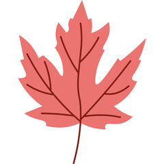 Obraz premium Autumn Leaf