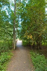 Obraz premium View of nature trail at Pornaistenniemi with green trees and small winding foot path in summer, Helsinki, Finland.