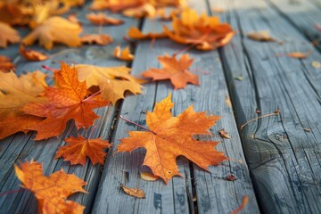 Obraz premium Autumn Maple Leaves Scattered On Wooden Deck