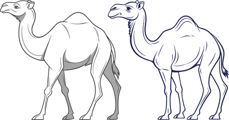 Fototapeta premium Camel line art vector and black and white drawing illustration design
