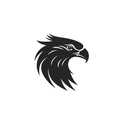 Obraz premium Black and white eagle head logo design.