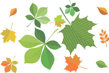 Fototapeta premium Seamless pattern. Background. Birch, oak, maple, chestnut leaves. . Vector illustration. Flyer background design, advertising background, fabric, clothes, texture, textile pattern.