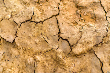 Fototapeta premium Cracked earth texture showing drought and arid climate