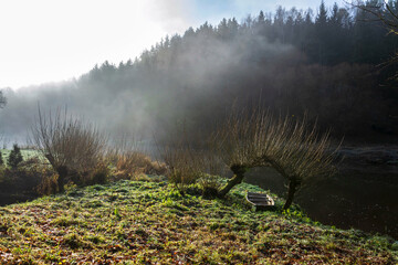 Boat under willow trees in foggy morning, shore of Luznice River, Czech Republic, peaceful...