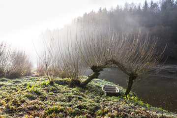 Boat under willow trees in foggy morning, shore of Luznice River, Czech Republic, peaceful...