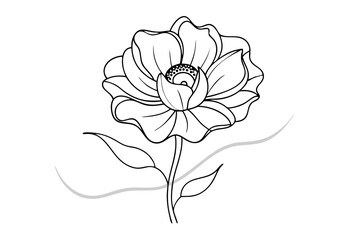 Elegant Line Drawing of Anemone - Minimalist Line Art Vector Design