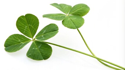 fruit and vegetable food isolated on white