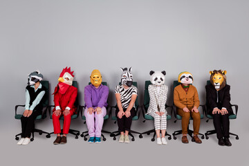 Full body portrait of zebra gorilla raccoon lion panda sloth rooster mask people sit wait chair...