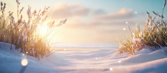 Coastal dunes with grasses lit by warm sunlight, creating a tranquil and scenic atmosphere.