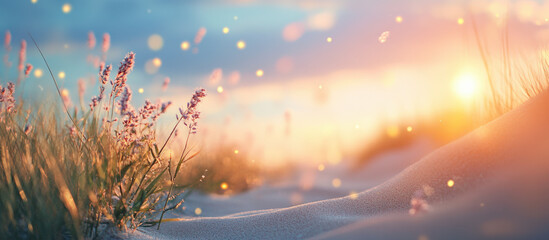 Wildflowers and grasses in sunrise light with glowing bokeh, creating a dreamy and peaceful scene.