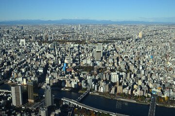 上野公園と浅草寺、東京スカイツリー天望デッキより