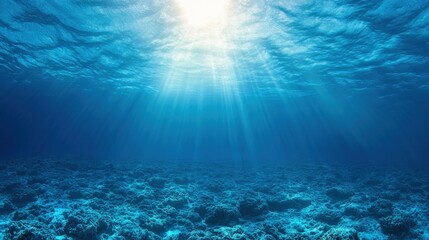 Fototapeta premium serene underwater scene with sunlight filtering through water