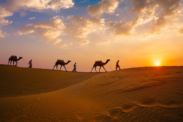 Indian cameleers camel drivers bedouin with camel silhouettes in sand dunes of Thar desert on...