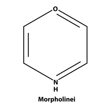 Morpholinei. chemistry Organic compound. black line vector 2d shape