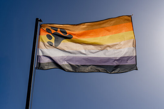 International Bear Brotherhood gaypride flag LGBT Community