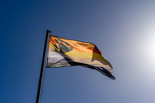 International Bear Brotherhood gaypride flag LGBT Community