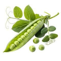 green peas with leaves on white