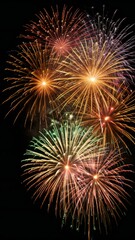 Fototapeta premium fireworks in the night sky