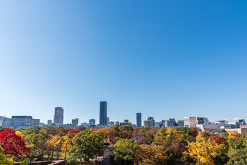 Obraz premium Autumn cityscape of Osaka city skyline with skyscraper building and autumn leaves tree nature park.