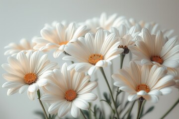 Obraz premium Delicate Cream Daisies in Soft Focus Bouquet
