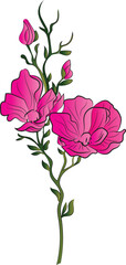 Fototapeta premium Designed with an iris flower in the style of Art Nouveau. Beautiful iris flower vintage floral composition