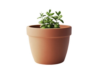 Obraz premium Small Green Plant in Clay Pot Isolated on Transparent Background