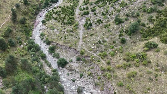 monta&ntilde;a con cabras