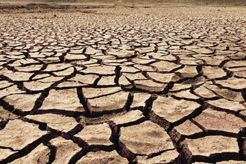 Cracked Earth: A stark reminder of the harsh reality of drought, with parched, cracked earth...