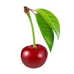 Cherry isolated. Sweet ripe cherry with leaves isolated on white background.Sweet cherries pile. Berries and fruits.Healthy eating.