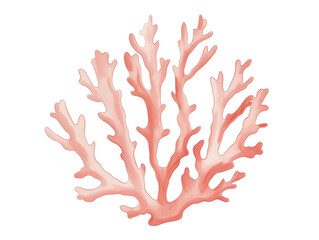 Obraz premium Vibrant Coral Branch in Soft Pink Hue