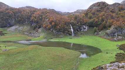 autumn landscape with trees and lake