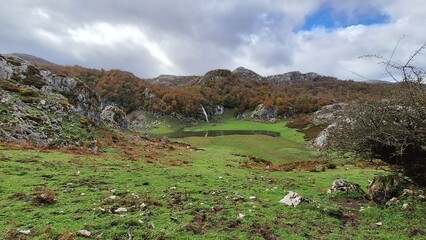 landscape in the spring