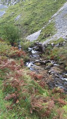 mountain stream in autumn
