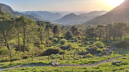landscape in the mountains