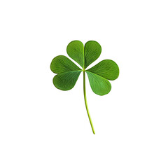 Green Clover, trefoils, plant of the genus Trifolium, transparent background, PNG