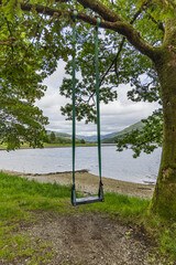 Tree swing beside Loch Long, Ardgartan, Arrochar, Loch Lomond and Cowal Way, Scotland