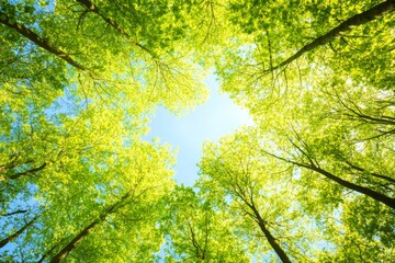 Fototapeta premium Lush Green Canopy Under Bright Sky with Sunlight Filtering Through Leaves in a Tranquil Forest Scene Captured from Below, Perfect for Nature Themes