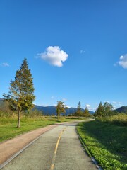 A road inside the park