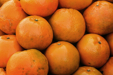 Kinnow Mandarin Orange Fruits. Citrus deliciosa or Kinnow or Tangerine fruit. shot of Kinnow Oranges. The kinnow is a hybrid citrus fruit that's a cross between King orange and a Willow leaf mandarin. © Nilofar
