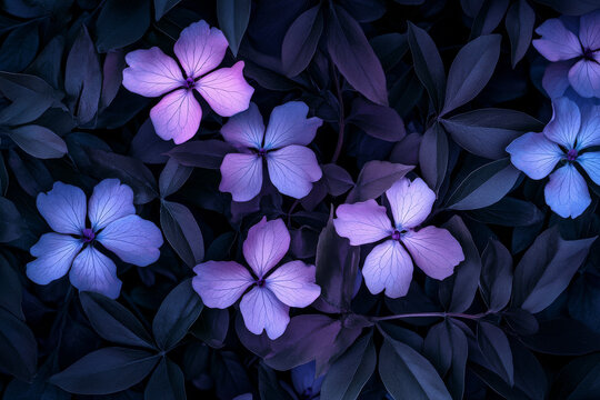 A dreamy floral pattern showcasing pastel blossoms of lavender and baby blue on a deep shadowy background.