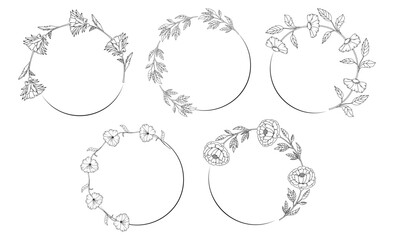 Fototapeta premium Frame and border. Minimalistic herbal botanical set of circles. Collection of trendy hand drawn flowers. Single line art. clip art. Silhouette. Elements. Cut out. Speech bubbles. png. Background
