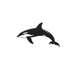 silhouette of a orca on white