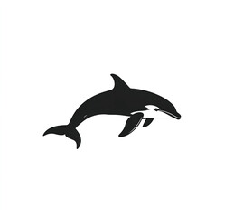silhouette of a orca on white