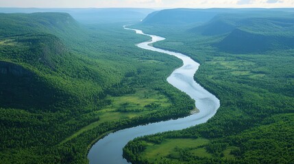 Serene Aerial View of a Winding River Through Lush Green Forests