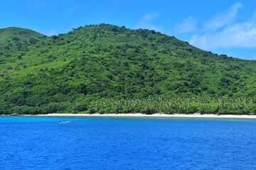 Fototapeta premium The paradise beaches of the Fiji Islands in the Pacific Ocean