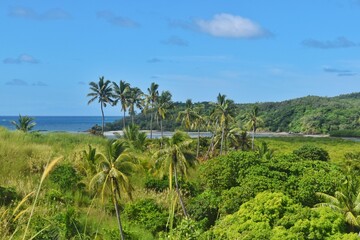 Obraz premium The paradise beaches of the Fiji Islands in the Pacific Ocean